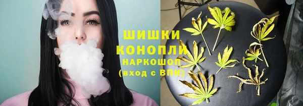 ГАЛЛЮЦИНОГЕННЫЕ ГРИБЫ Няндома
