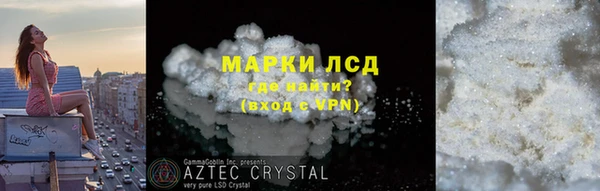 ГАЛЛЮЦИНОГЕННЫЕ ГРИБЫ Няндома