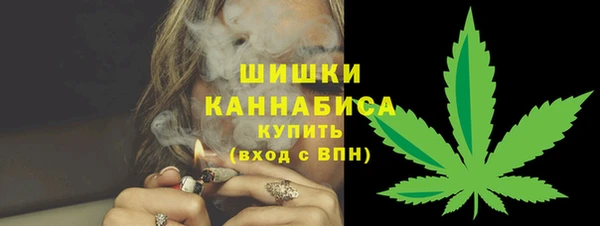 ГАЛЛЮЦИНОГЕННЫЕ ГРИБЫ Няндома