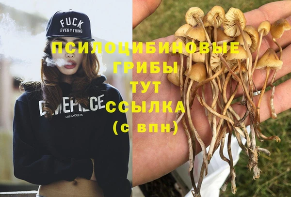 гашиш Нягань