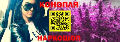 эйфоретик Гатчина