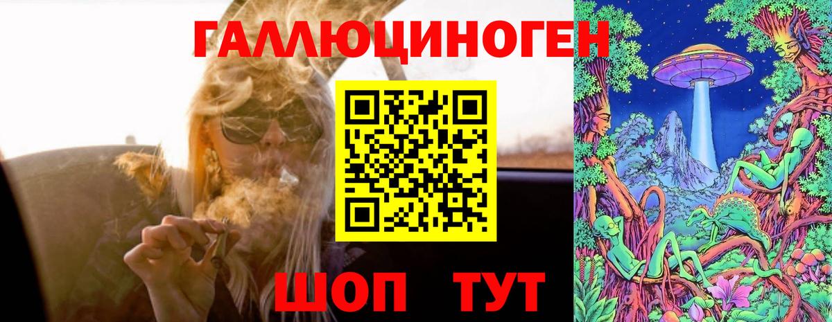 Выборг  Галлюциногенные грибы мицелий  Вход с VPN 