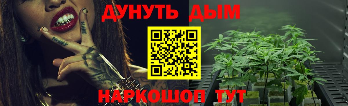 Бошки марихуана Amnesia Выборг