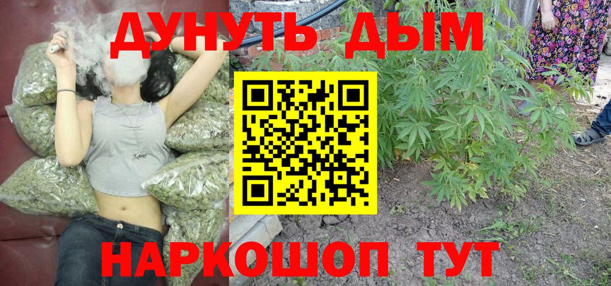 Выборг  Марихуана гибрид  Вход с VPN  Канабис Bruce Banner 